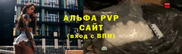 прущие крисы Богданович