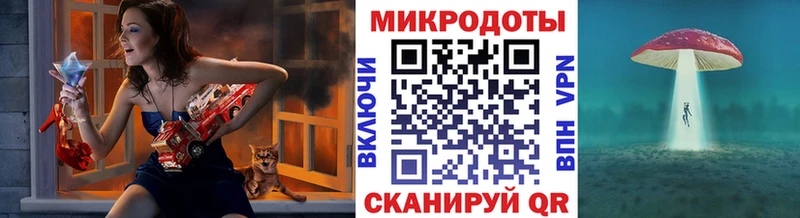 Купить  Теберда  Псилоцибиновые грибы Cubensis 
